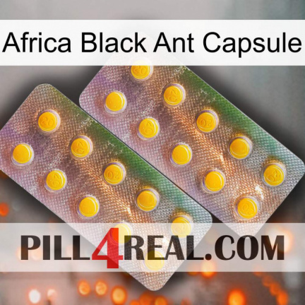 Africa Black Ant Capsule new10